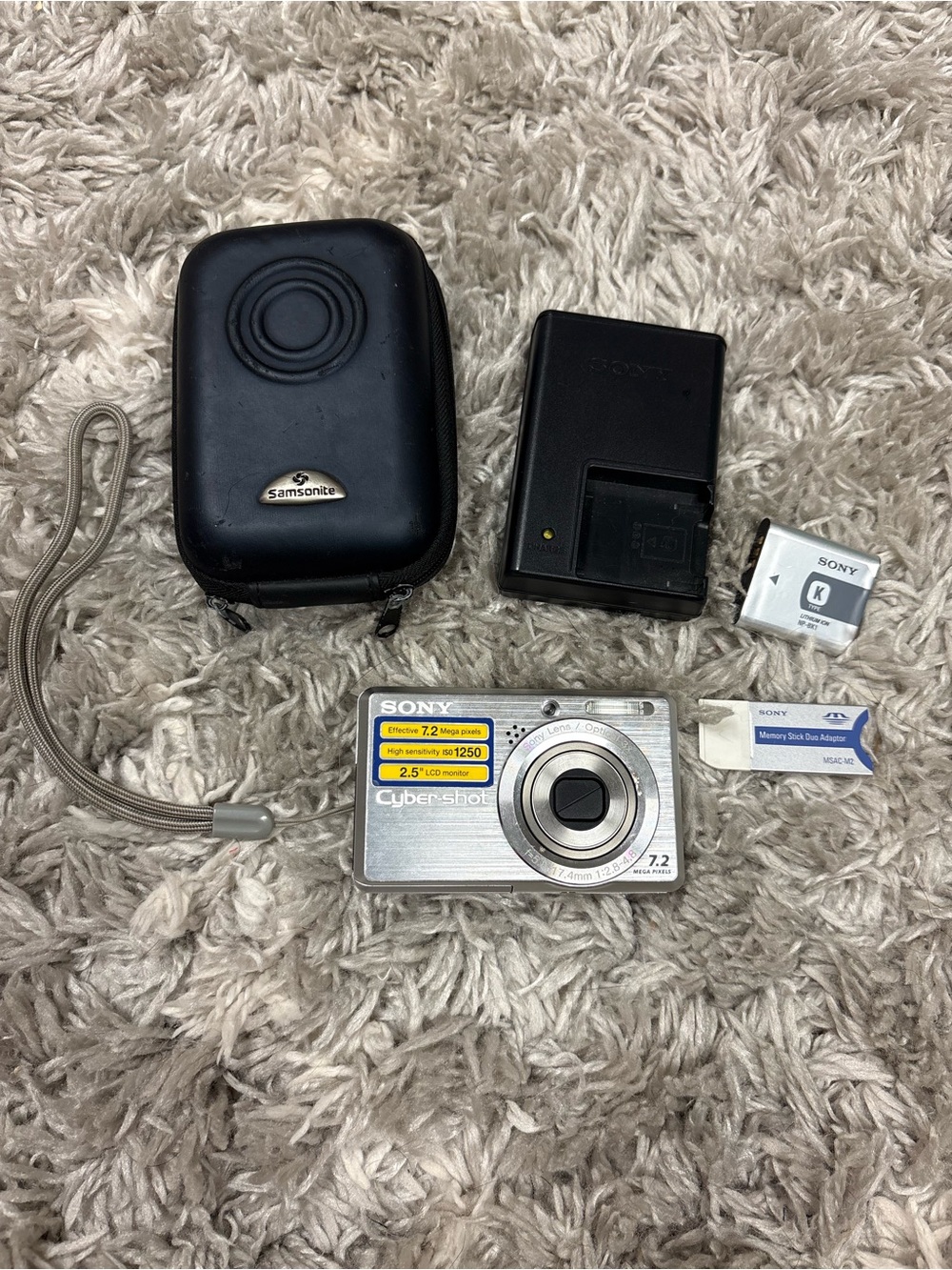Sony Silver Cyber-shot Compact Digital Camera with Black Case and Charger